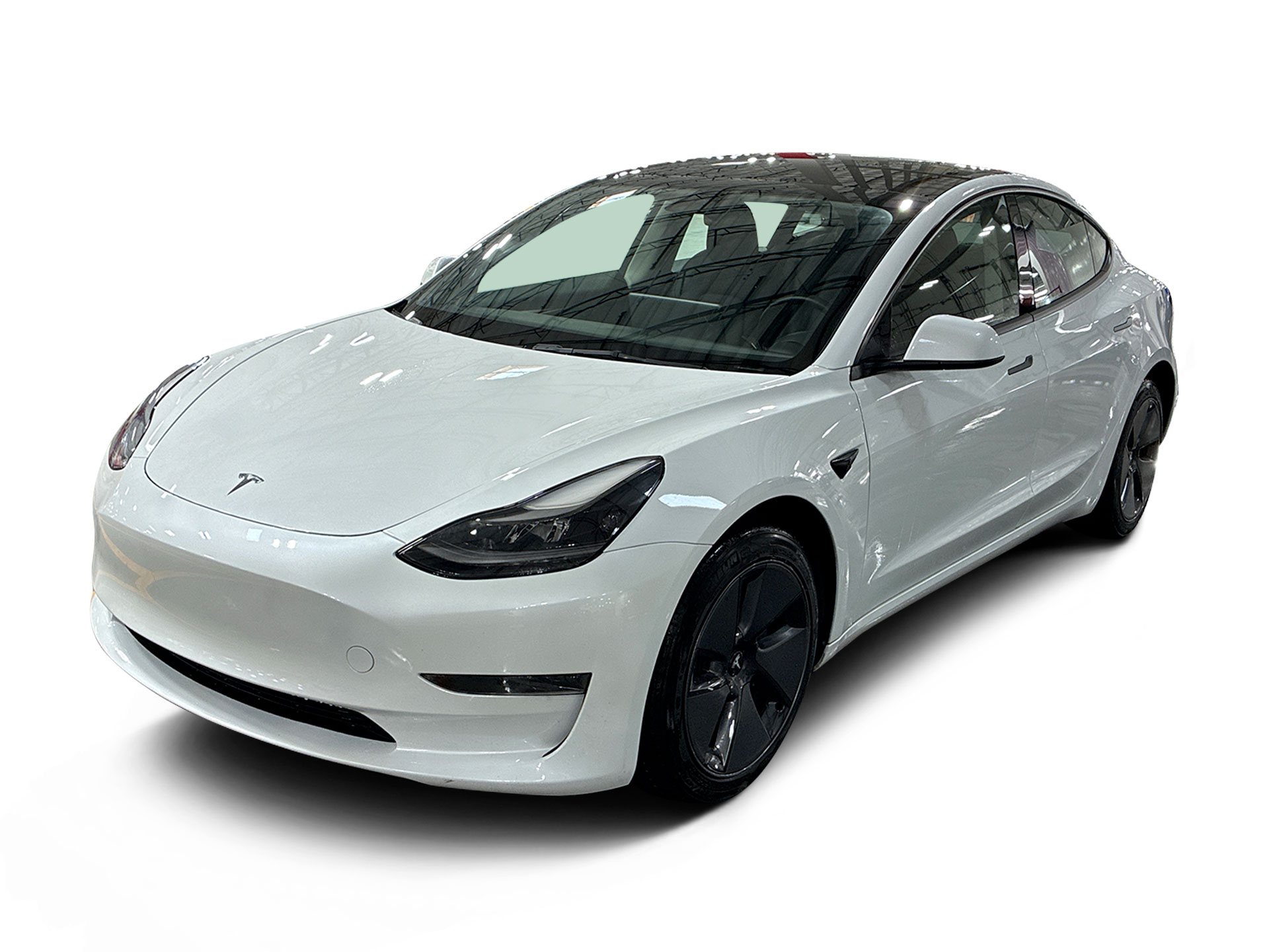Used 2023 Tesla Model 3 Base with VIN 5YJ3E1EA1PF419783 for sale in Renton, WA