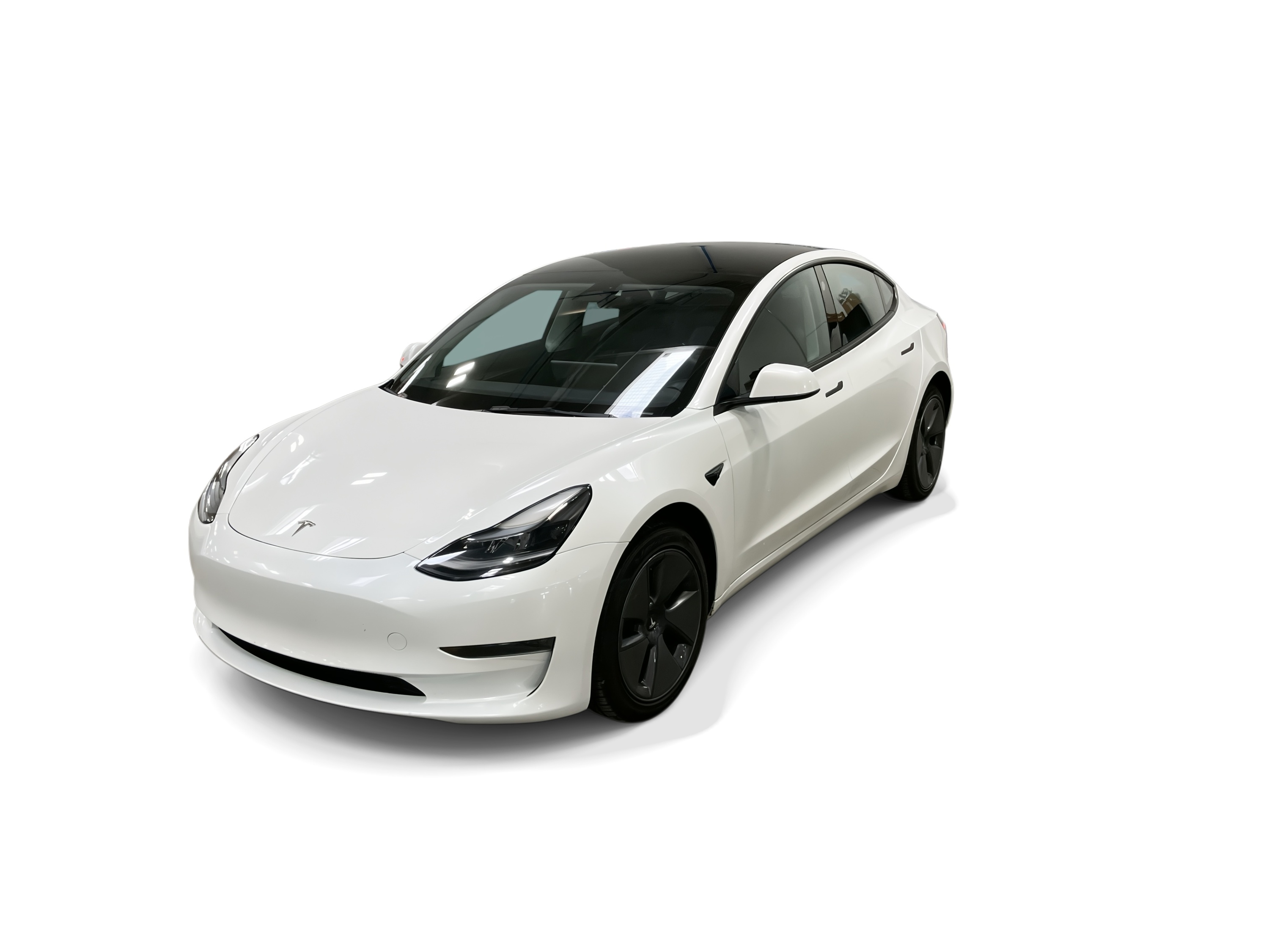 Used 2023 Tesla Model 3 Base with VIN 5YJ3E1EA1PF462858 for sale in Renton, WA