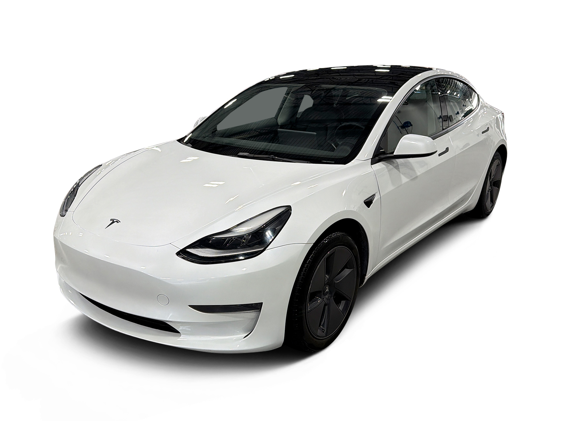 Used 2023 Tesla Model 3 Base with VIN 5YJ3E1EA6PF394329 for sale in Renton, WA
