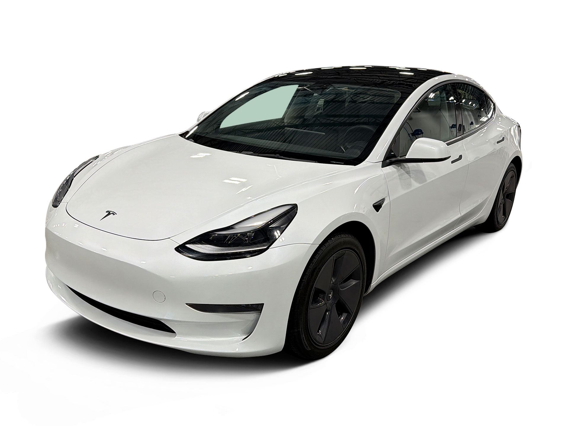 Used 2023 Tesla Model 3 Base with VIN 5YJ3E1EA4PF407238 for sale in Renton, WA