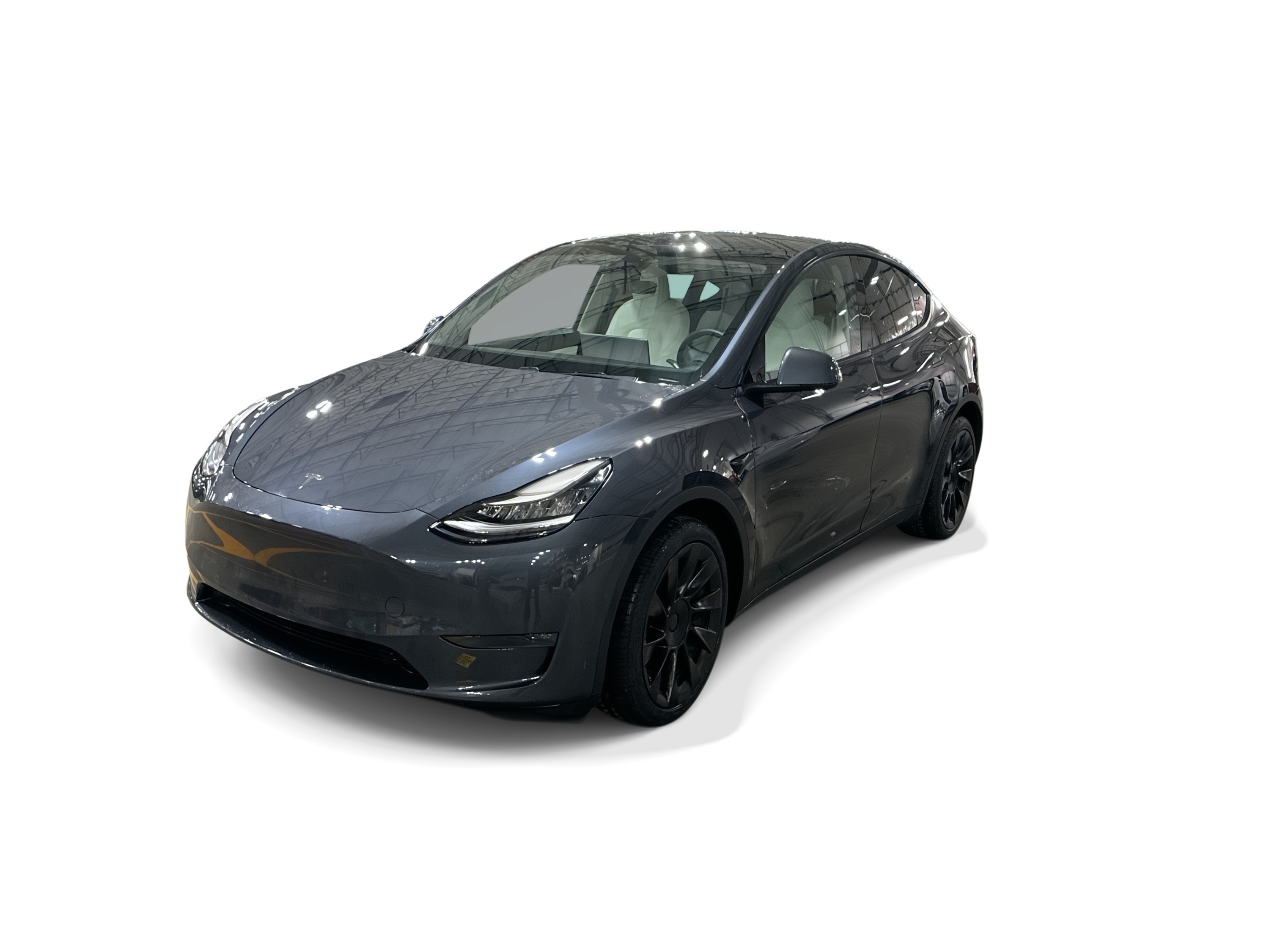 Used 2021 Tesla Model Y Long Range with VIN 5YJYGDEE6MF061113 for sale in Northfield, Minnesota