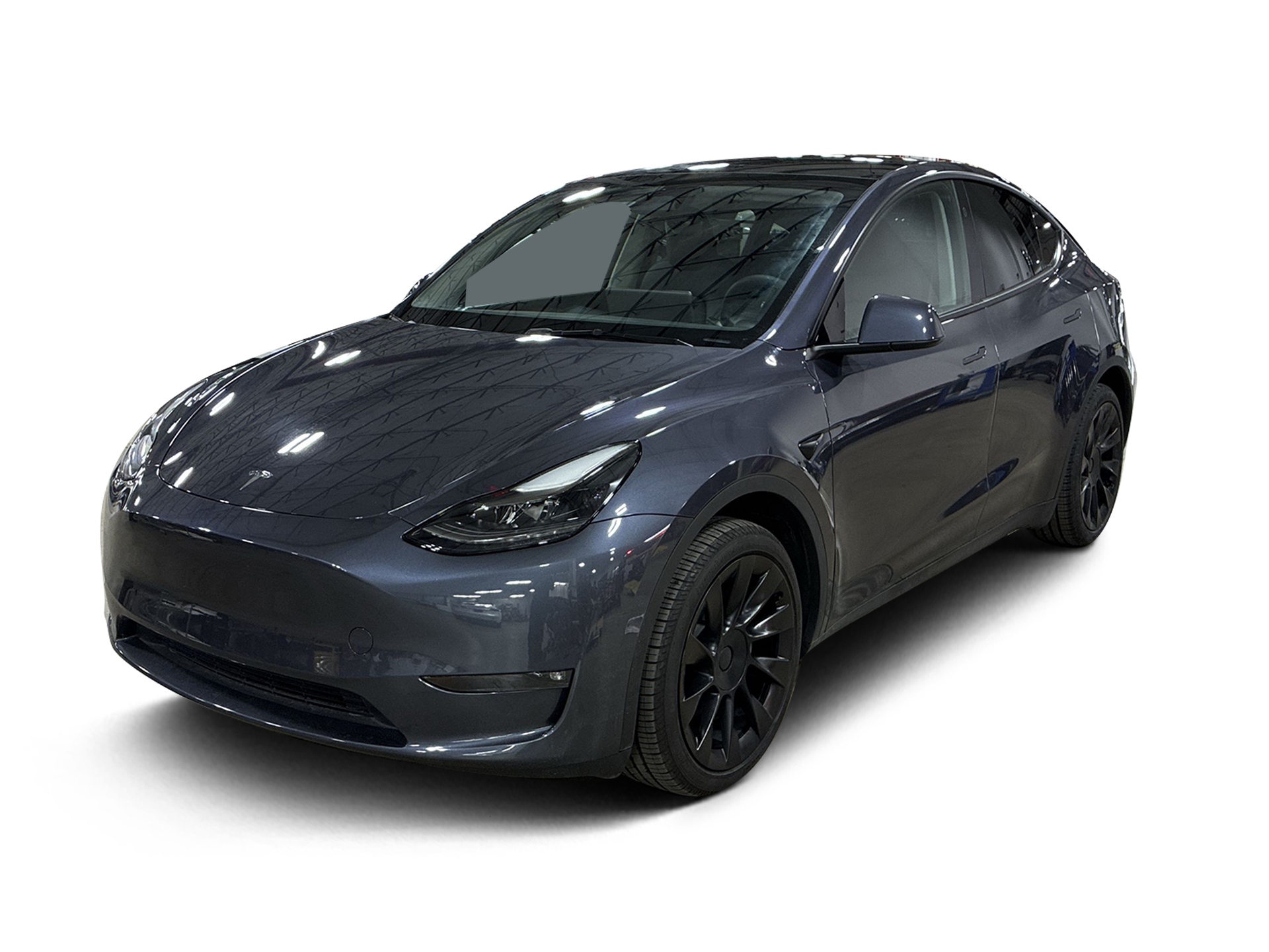 Used 2023 Tesla Model Y Base with VIN 7SAYGDED4PF949681 for sale in Renton, WA