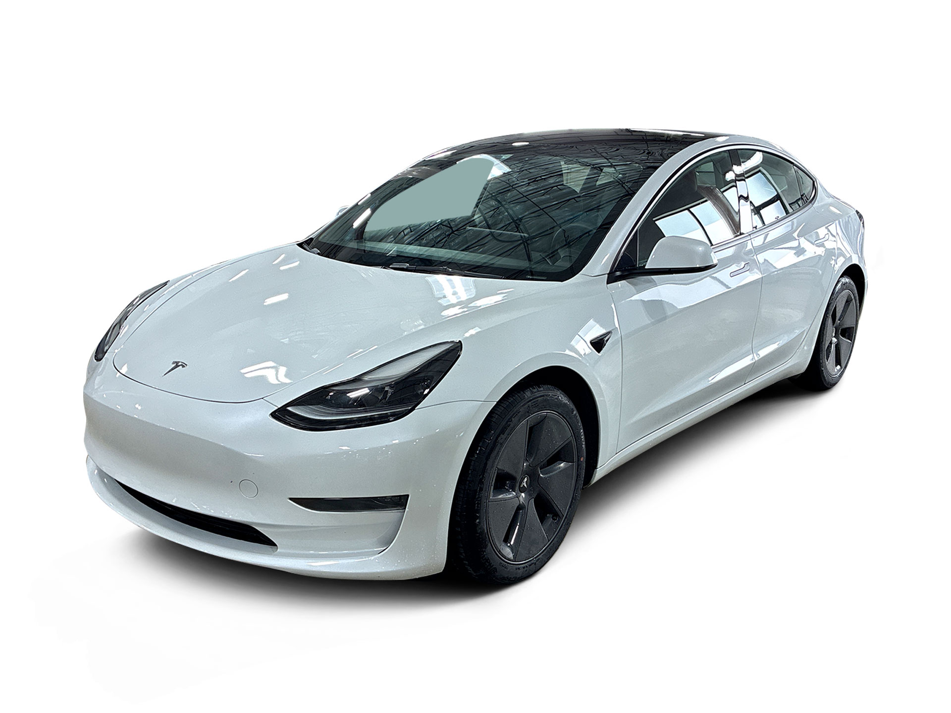 Used 2023 Tesla Model 3 Base with VIN 5YJ3E1EA4PF403321 for sale in Renton, WA