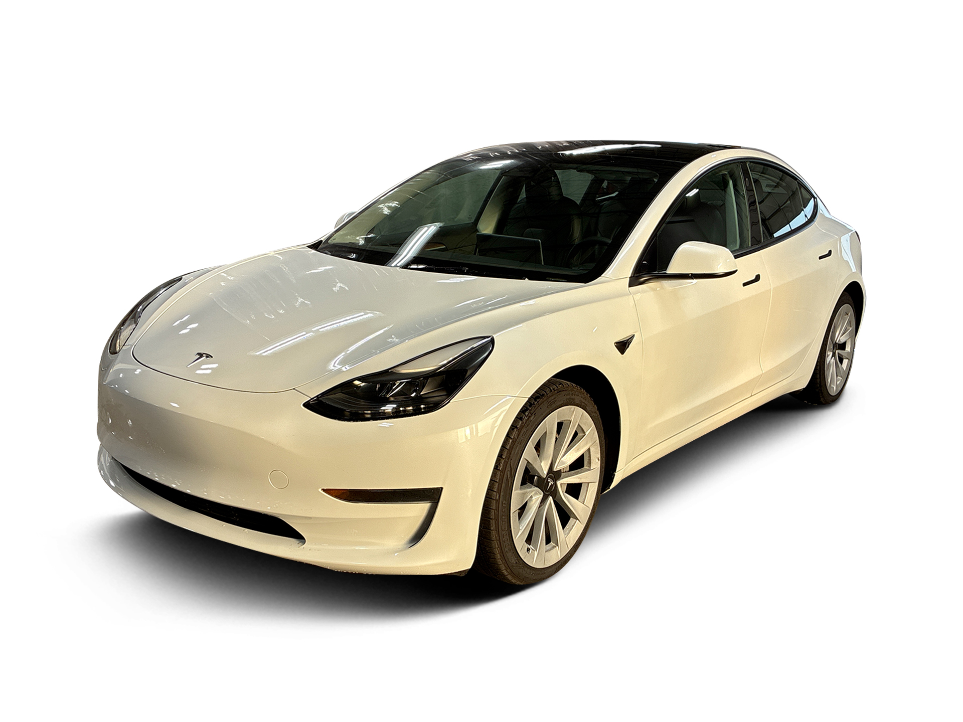 Used 2023 Tesla Model 3 Base with VIN 5YJ3E1EA6PF552667 for sale in Renton, WA