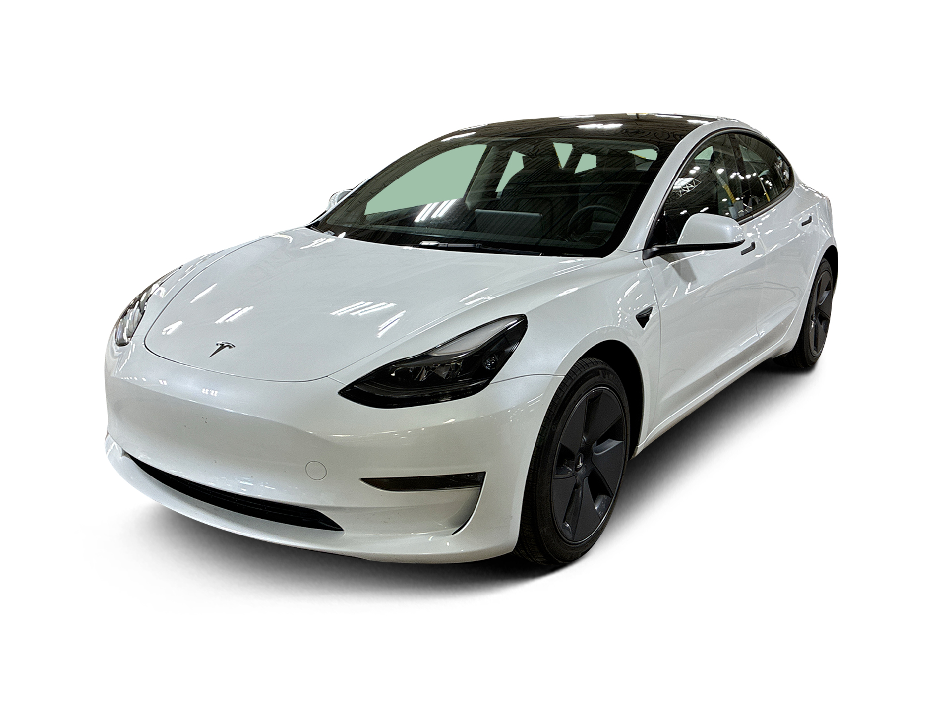 Used 2023 Tesla Model 3 Base with VIN 5YJ3E1EA5PF497659 for sale in Renton, WA
