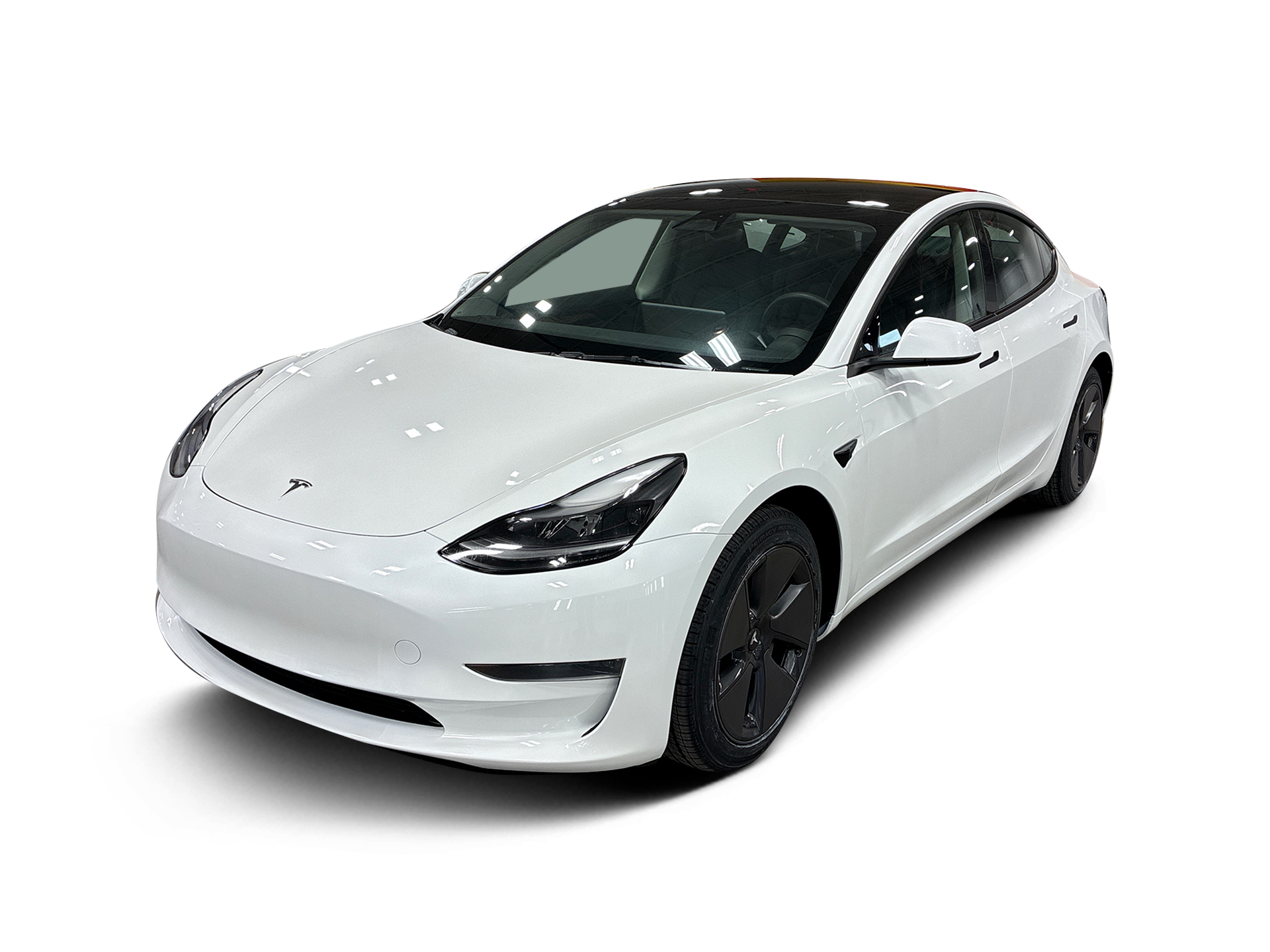 Used 2023 Tesla Model 3 Base with VIN 5YJ3E1EA7PF641325 for sale in Renton, WA