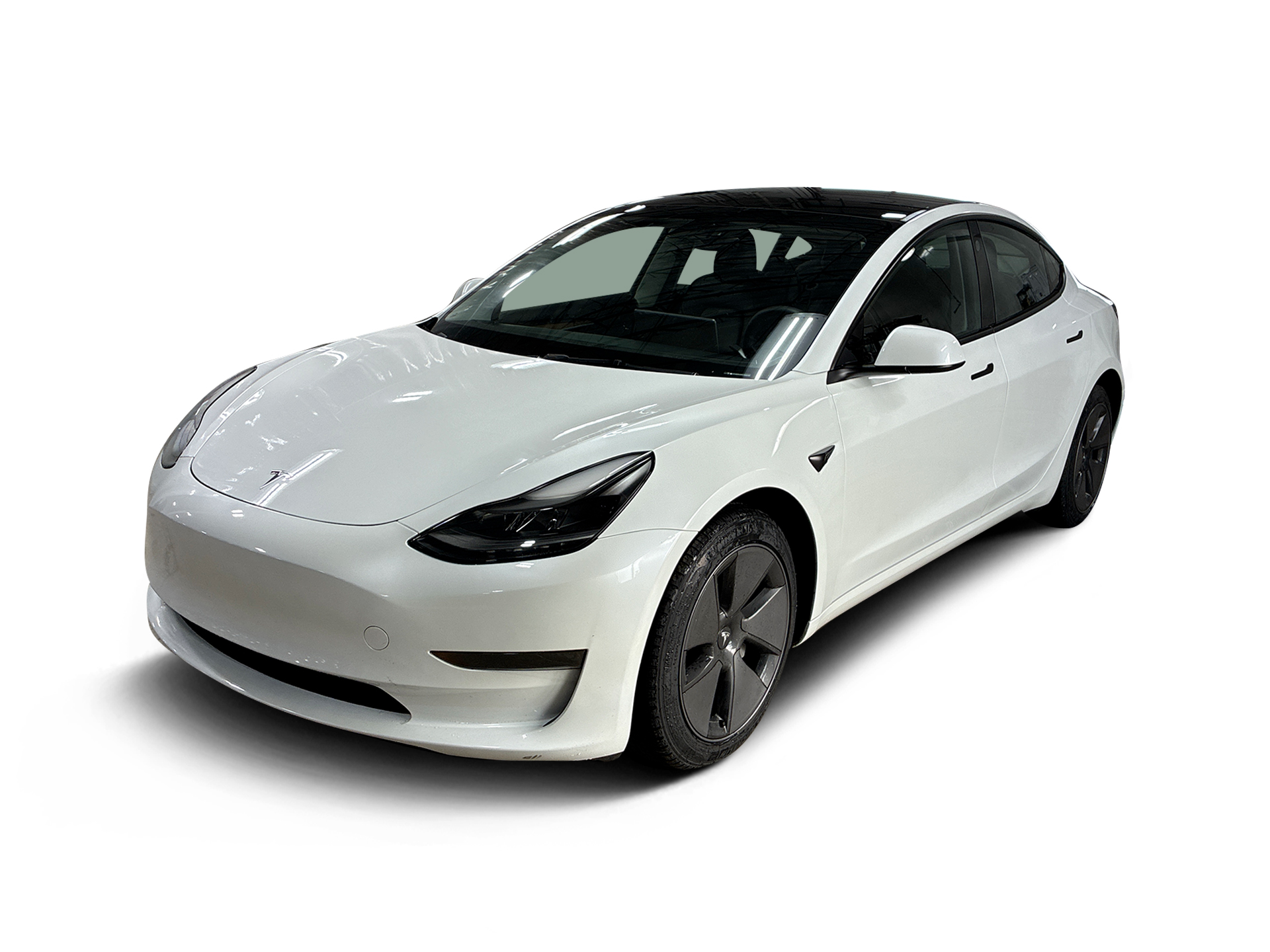 Used 2023 Tesla Model 3 Base with VIN 5YJ3E1EA9PF403735 for sale in Renton, WA