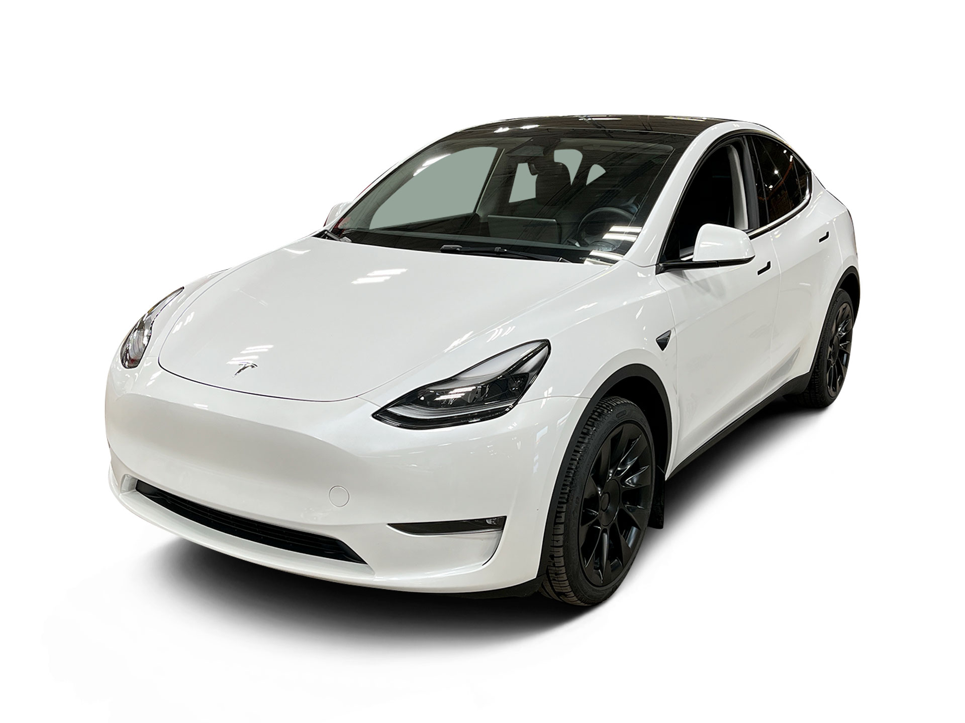 Used 2023 Tesla Model Y Long Range with VIN 7SAYGDEE1PF876164 for sale in Northfield, Minnesota