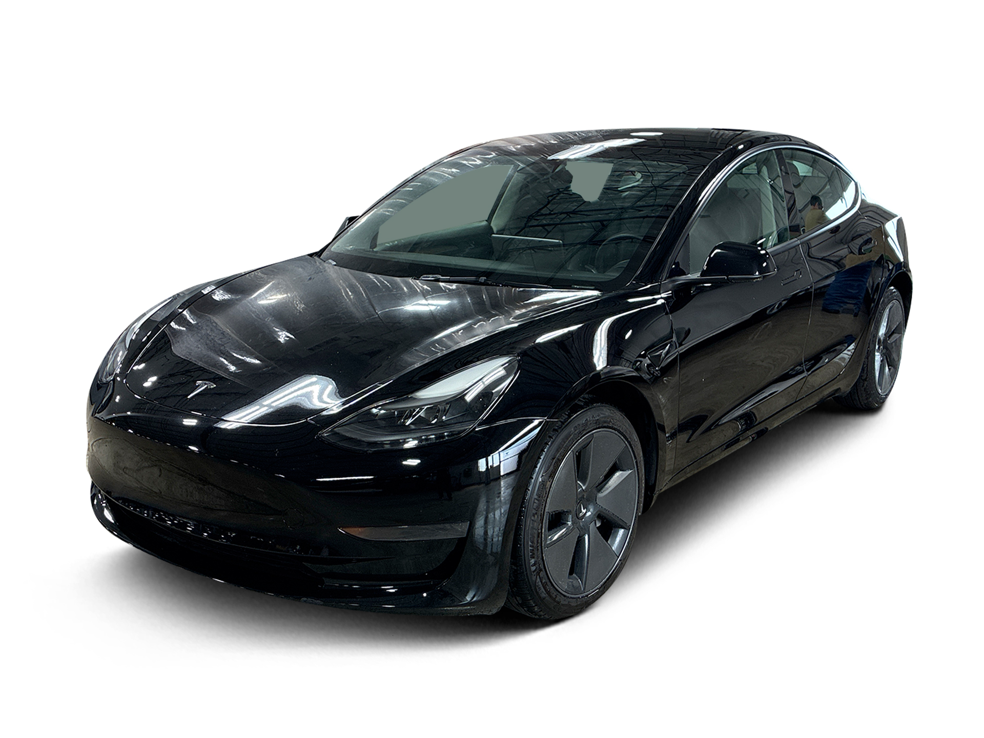 Used 2023 Tesla Model 3 Base with VIN 5YJ3E1EA2PF576951 for sale in Renton, WA