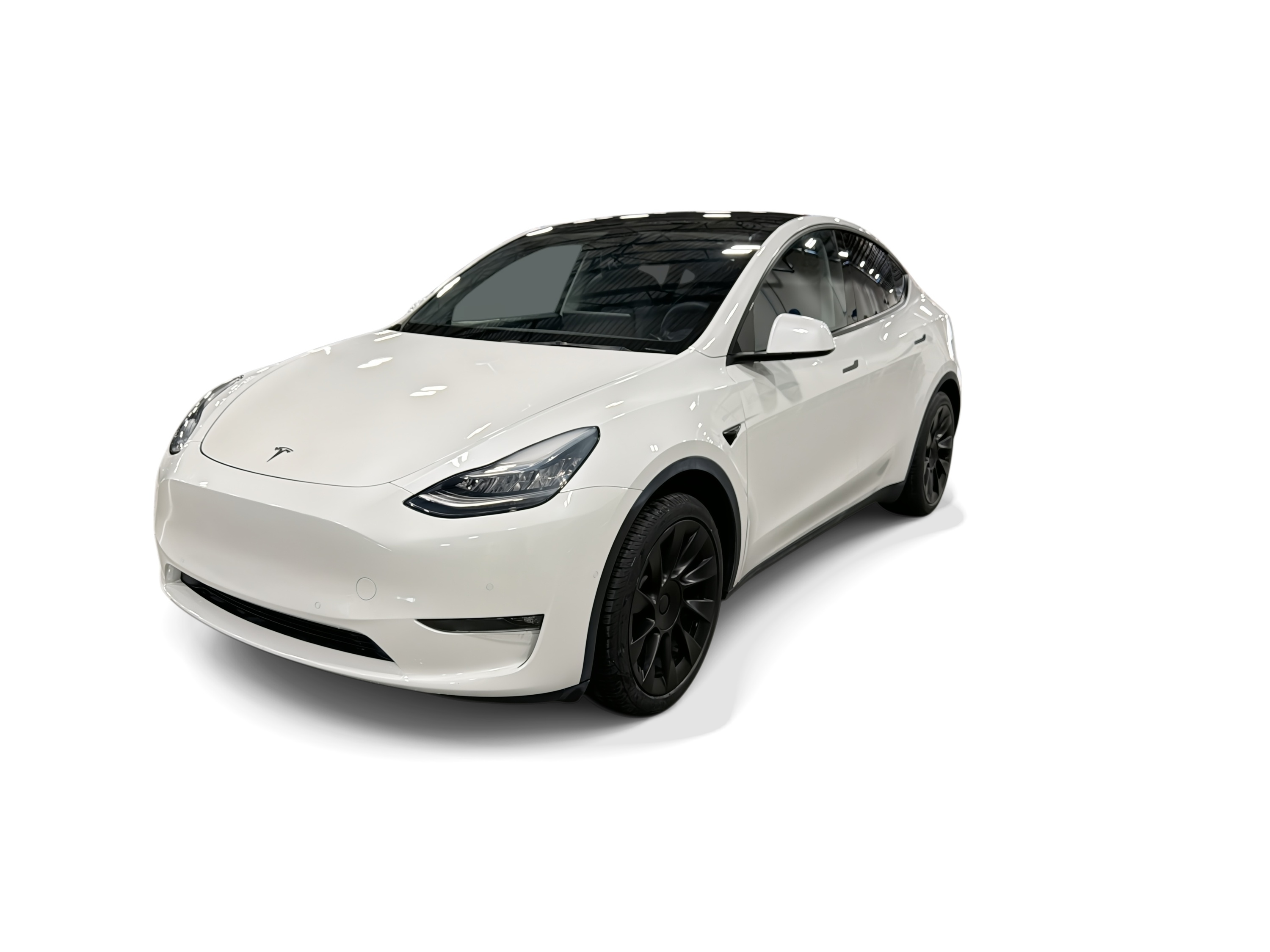 Used 2021 Tesla Model Y Standard Range with VIN 5YJYGDED3MF192846 for sale in Northfield, Minnesota