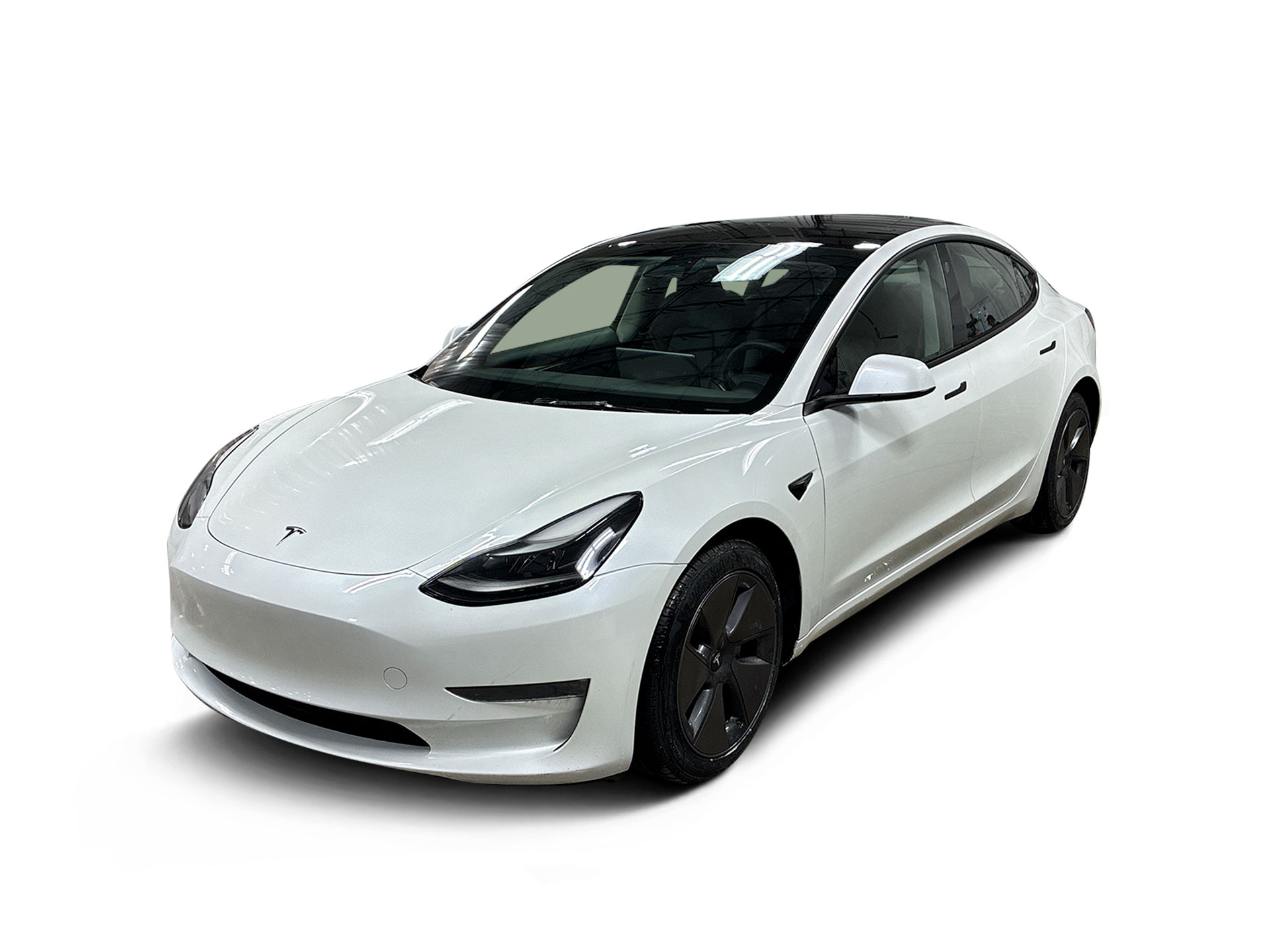 Used 2023 Tesla Model 3 Base with VIN 5YJ3E1EA7PF604629 for sale in Renton, WA