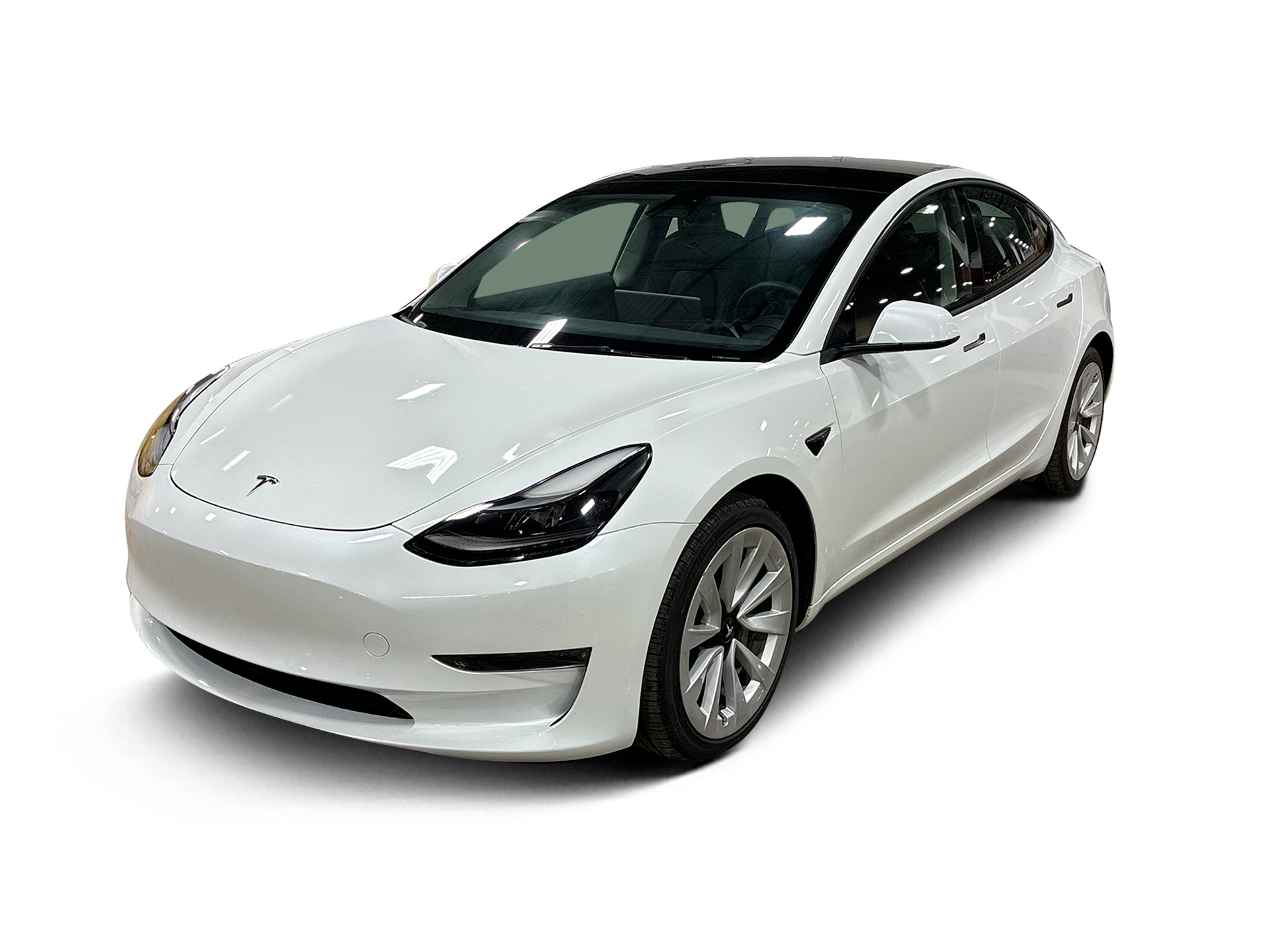 Used 2023 Tesla Model 3 Base with VIN 5YJ3E1EA0PF557833 for sale in Renton, WA