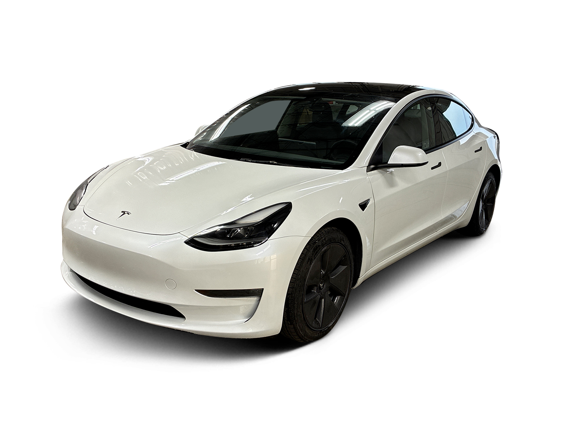 Used 2023 Tesla Model 3 Base with VIN 5YJ3E1EA1PF404071 for sale in Renton, WA