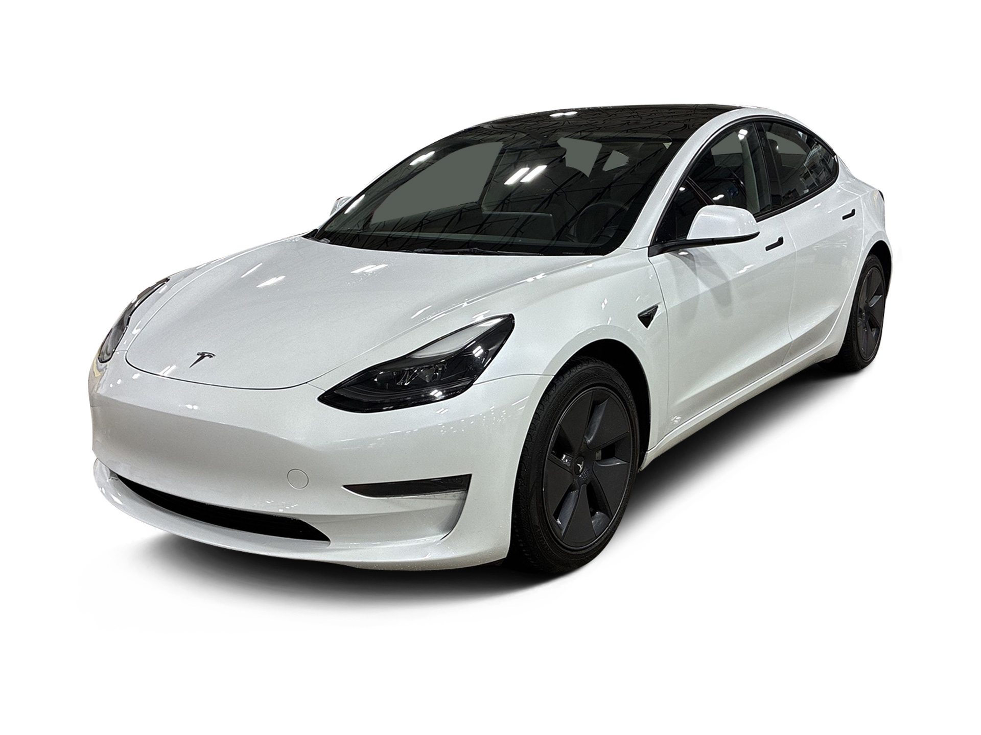 Used 2023 Tesla Model 3 Base with VIN 5YJ3E1EA1PF410646 for sale in Renton, WA