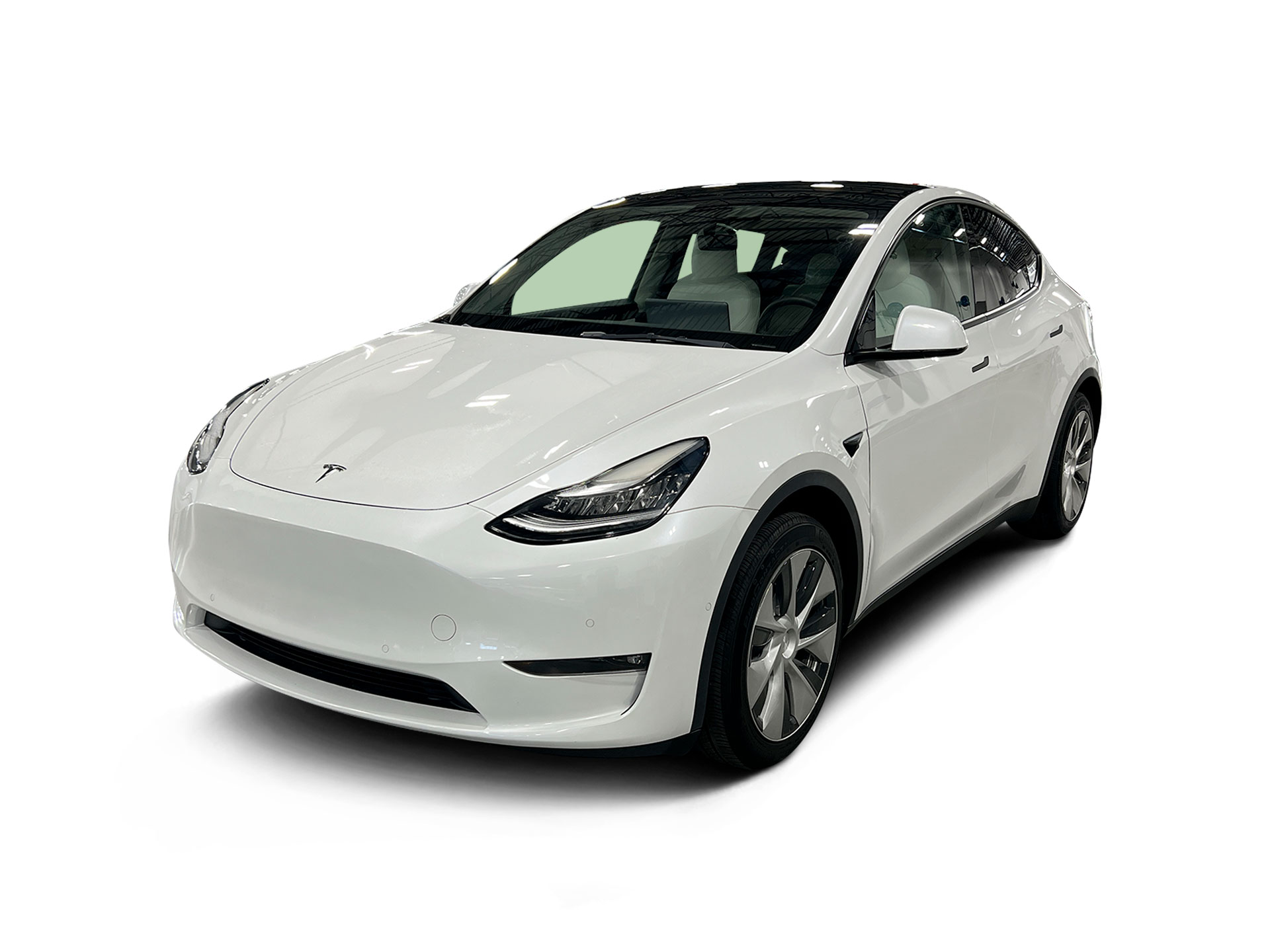 Used 2021 Tesla Model Y Standard Range with VIN 5YJYGDED7MF116224 for sale in Northfield, Minnesota