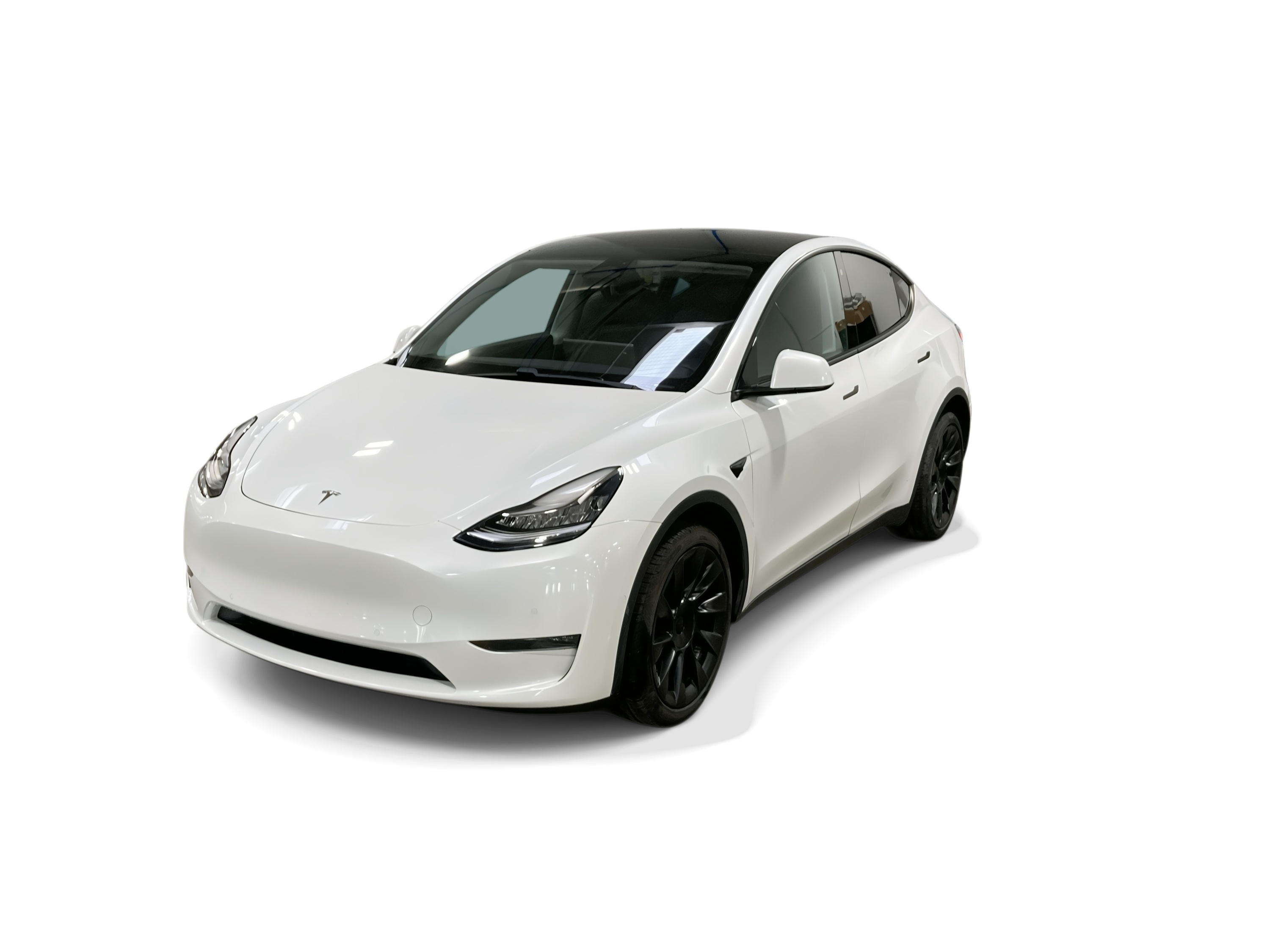 Used 2020 Tesla Model Y Long Range with VIN 5YJYGDEE2LF058501 for sale in Northfield, Minnesota
