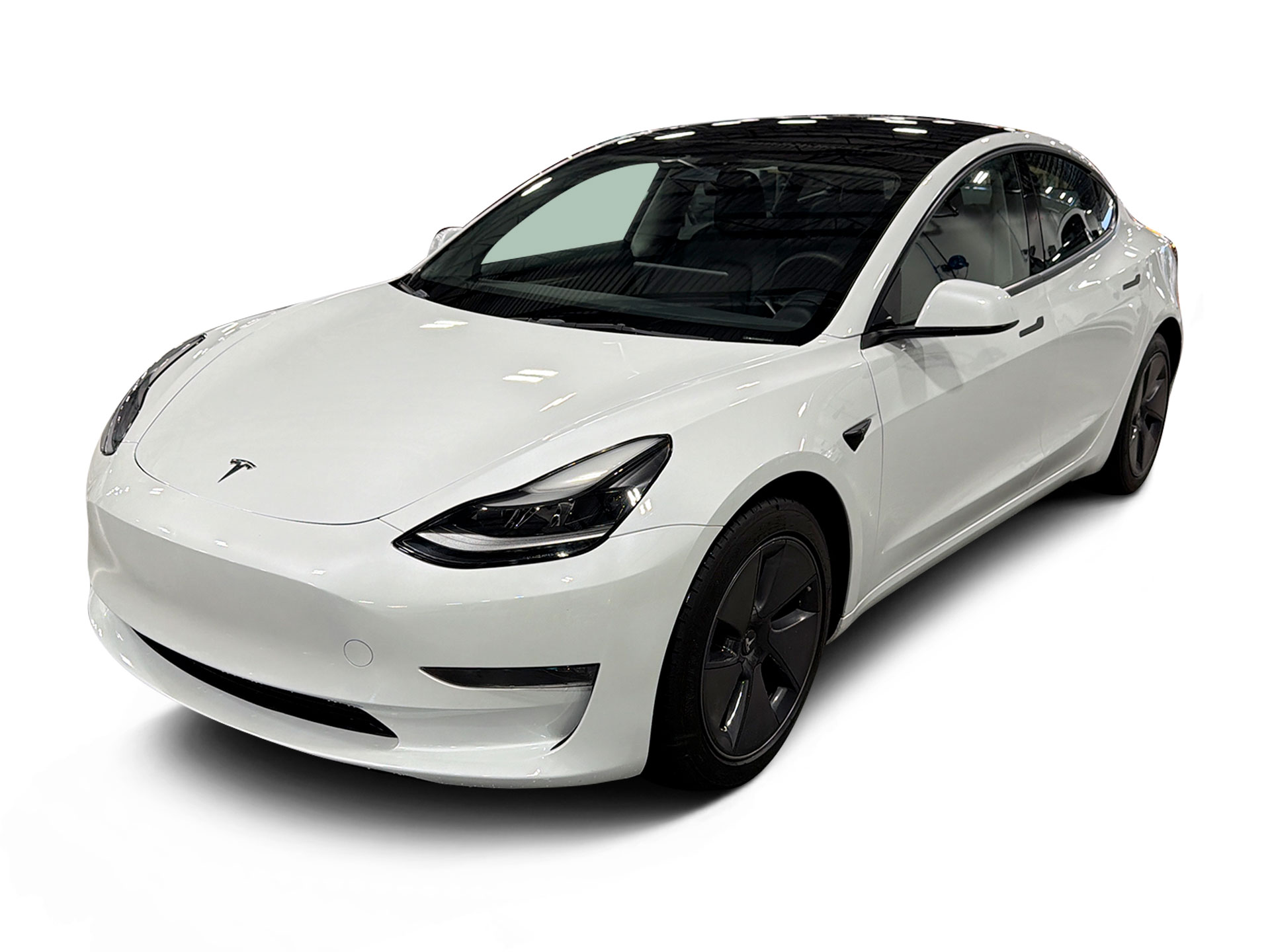 Used 2023 Tesla Model 3 Base with VIN 5YJ3E1EA5PF419558 for sale in Renton, WA