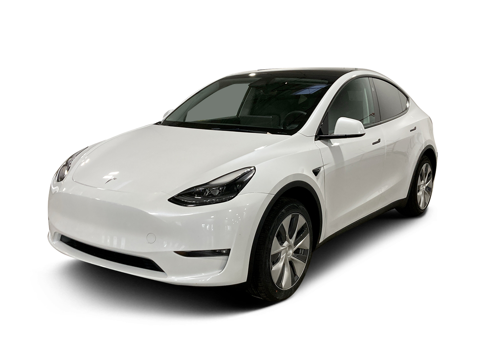 Used 2023 Tesla Model Y Base with VIN 7SAYGDED7PF933801 for sale in Renton, WA