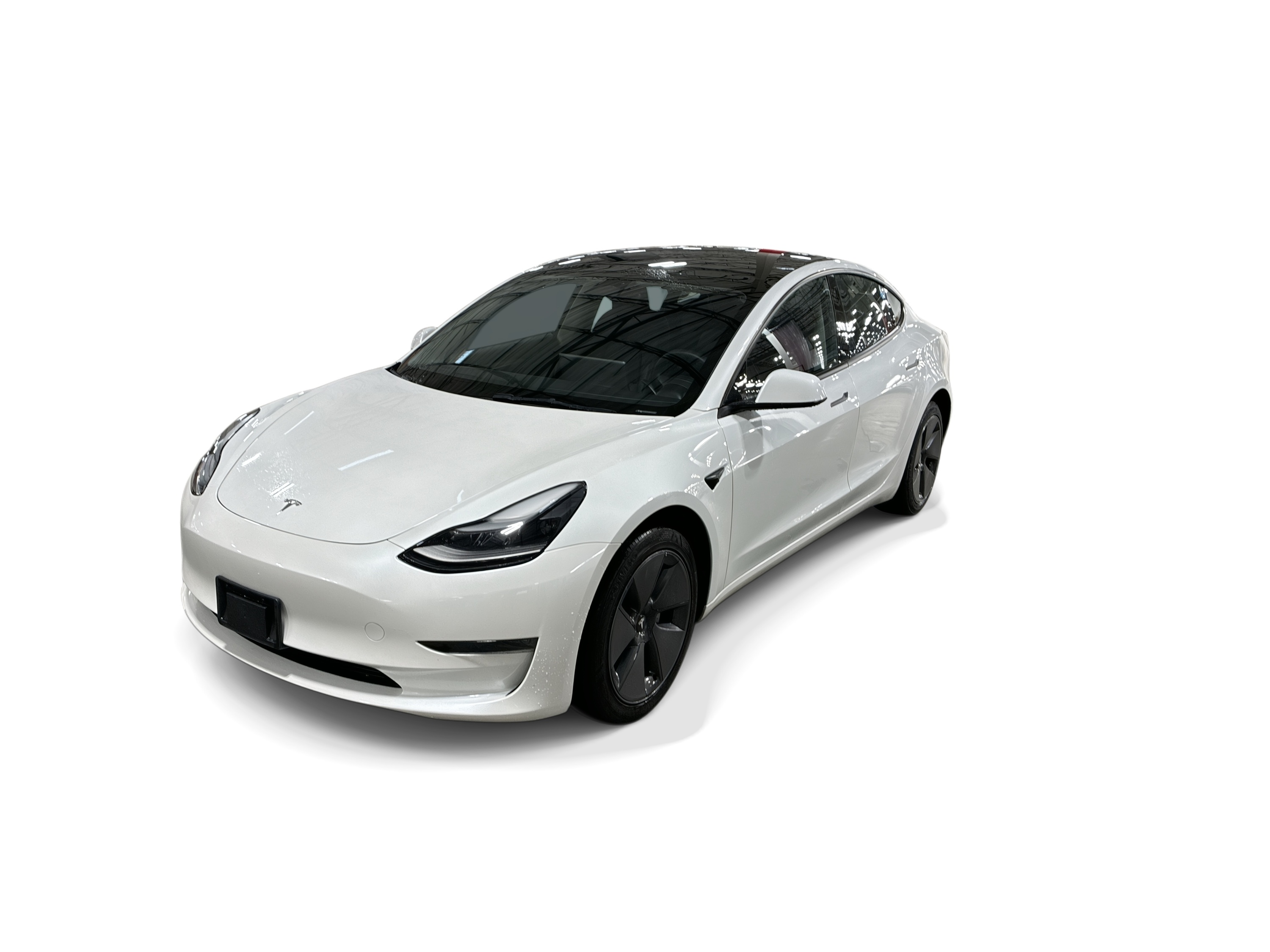 Used 2023 Tesla Model 3 Base with VIN 5YJ3E1EA9PF453518 for sale in Renton, WA