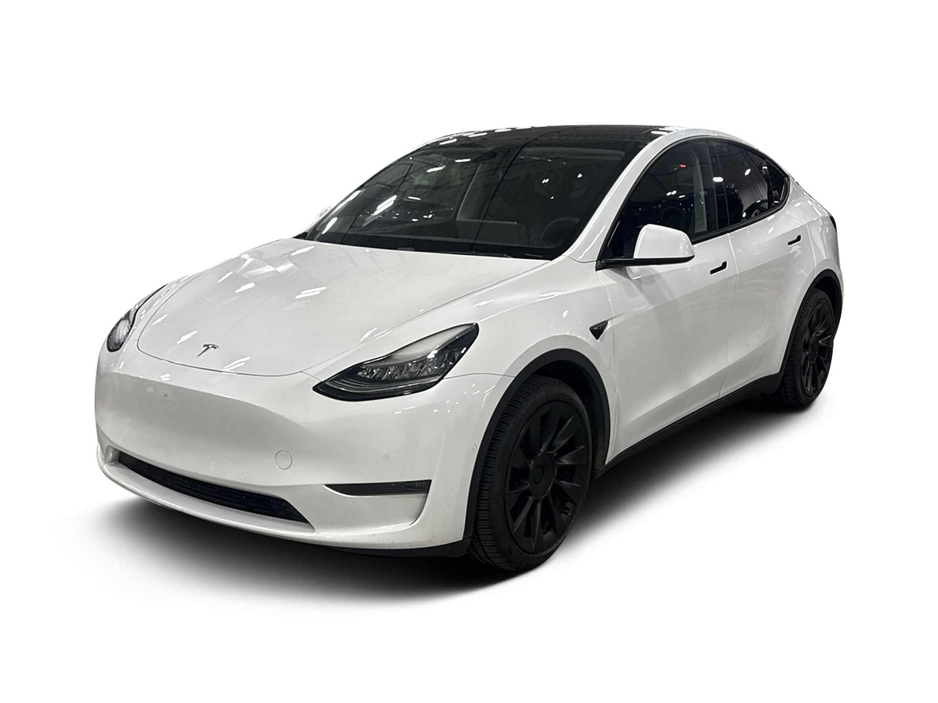 Used 2020 Tesla Model Y Long Range with VIN 5YJYGDEEXLF034012 for sale in Northfield, Minnesota