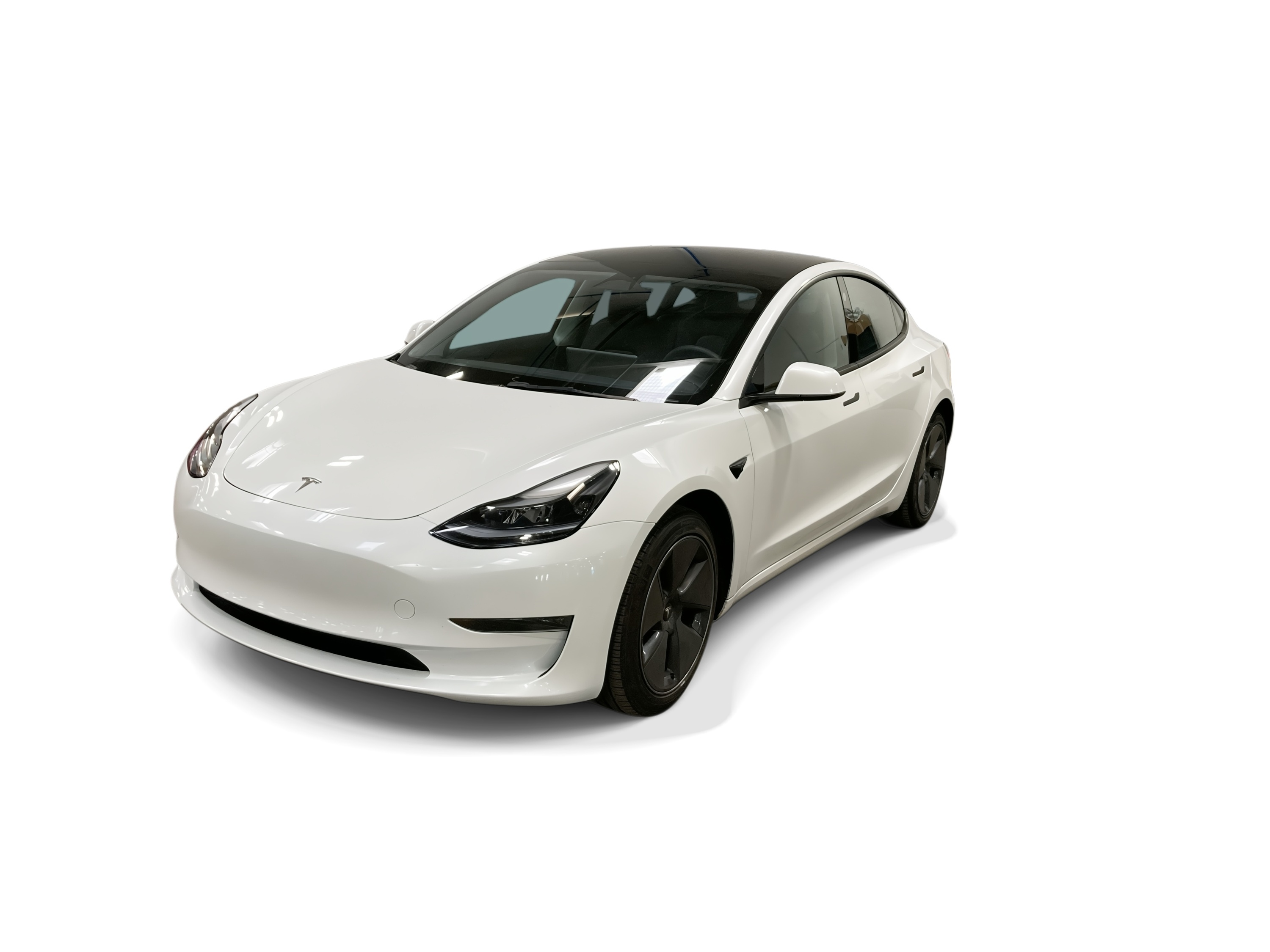 Used 2023 Tesla Model 3 Base with VIN 5YJ3E1EA5PF404591 for sale in Renton, WA