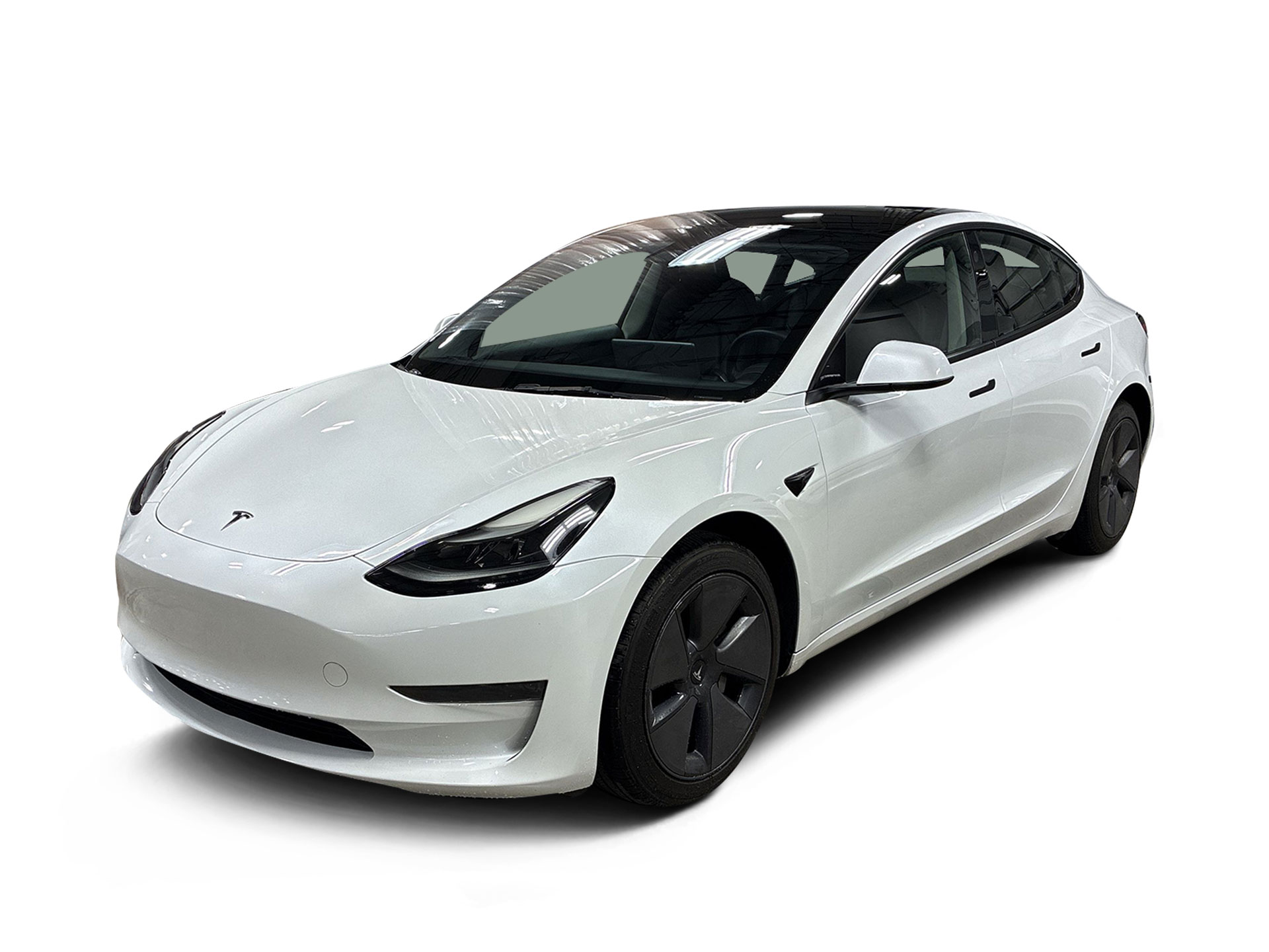 Used 2023 Tesla Model 3 Base with VIN 5YJ3E1EA9PF482906 for sale in Renton, WA