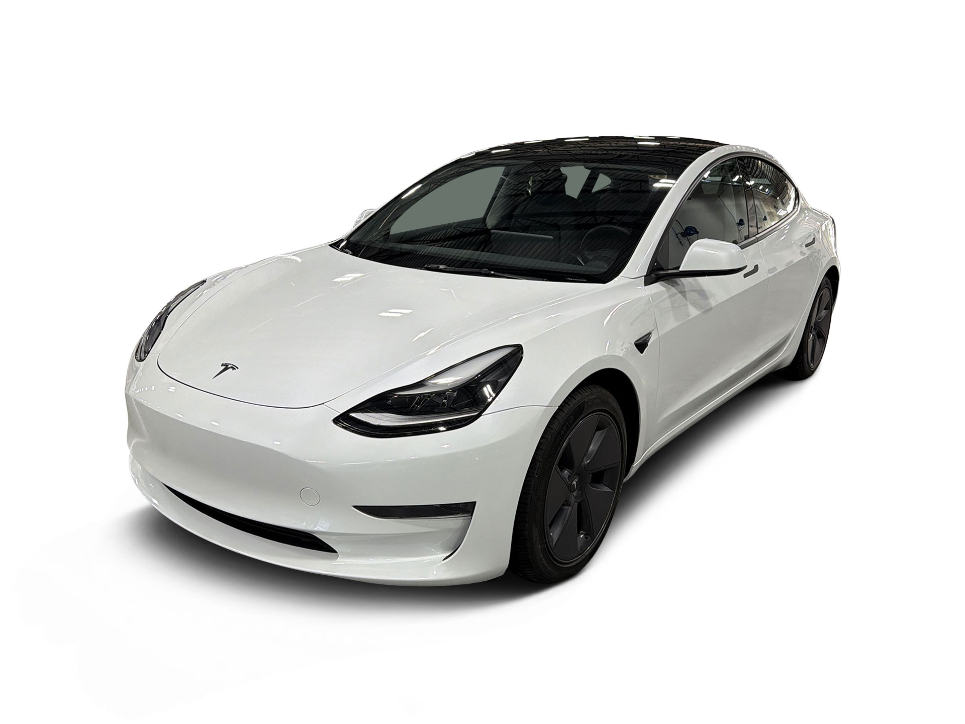 Used 2023 Tesla Model 3 Base with VIN 5YJ3E1EA6PF397098 for sale in Renton, WA