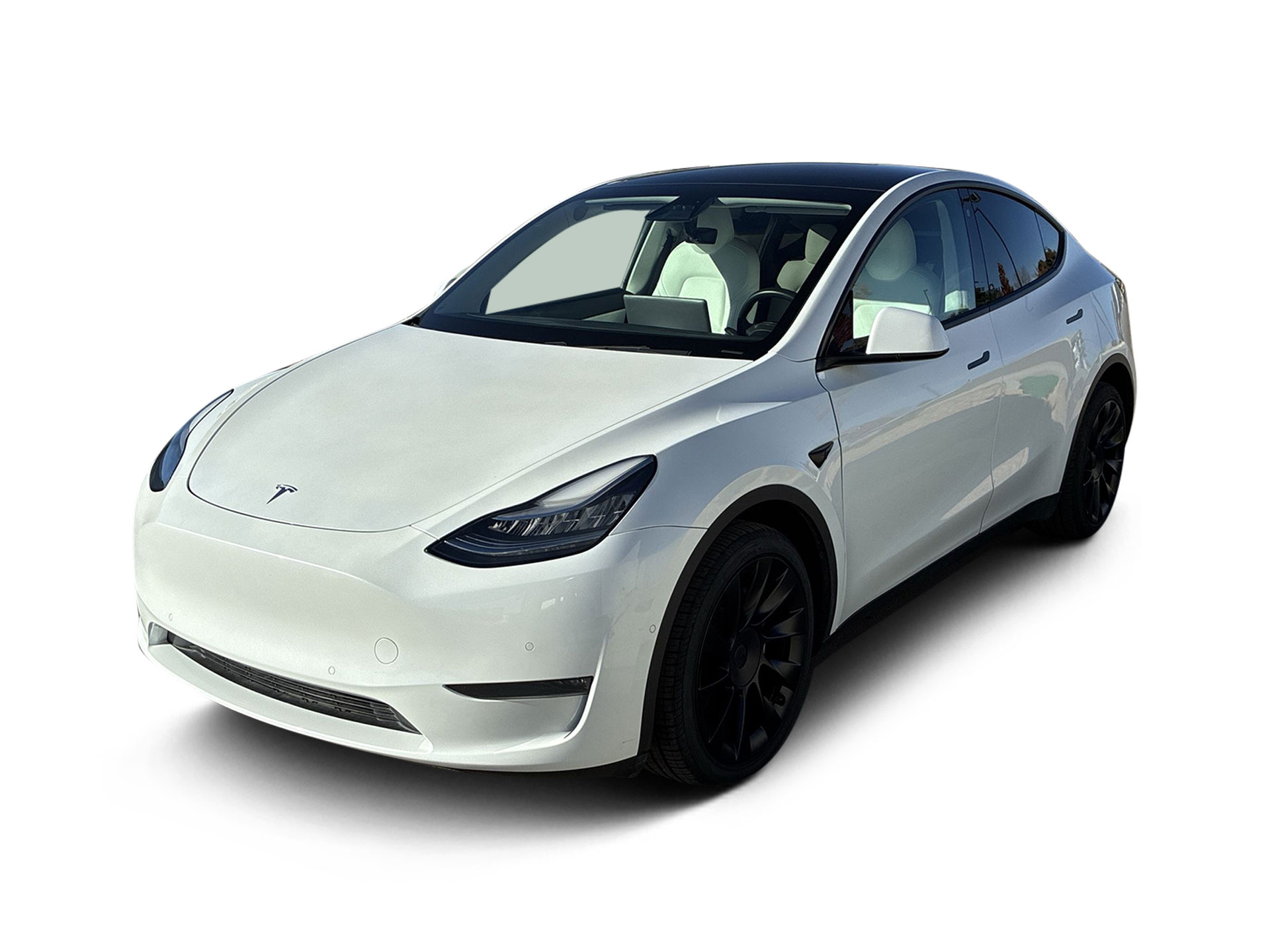 Used 2020 Tesla Model Y Long Range with VIN 5YJYGDEE8LF030881 for sale in Northfield, Minnesota