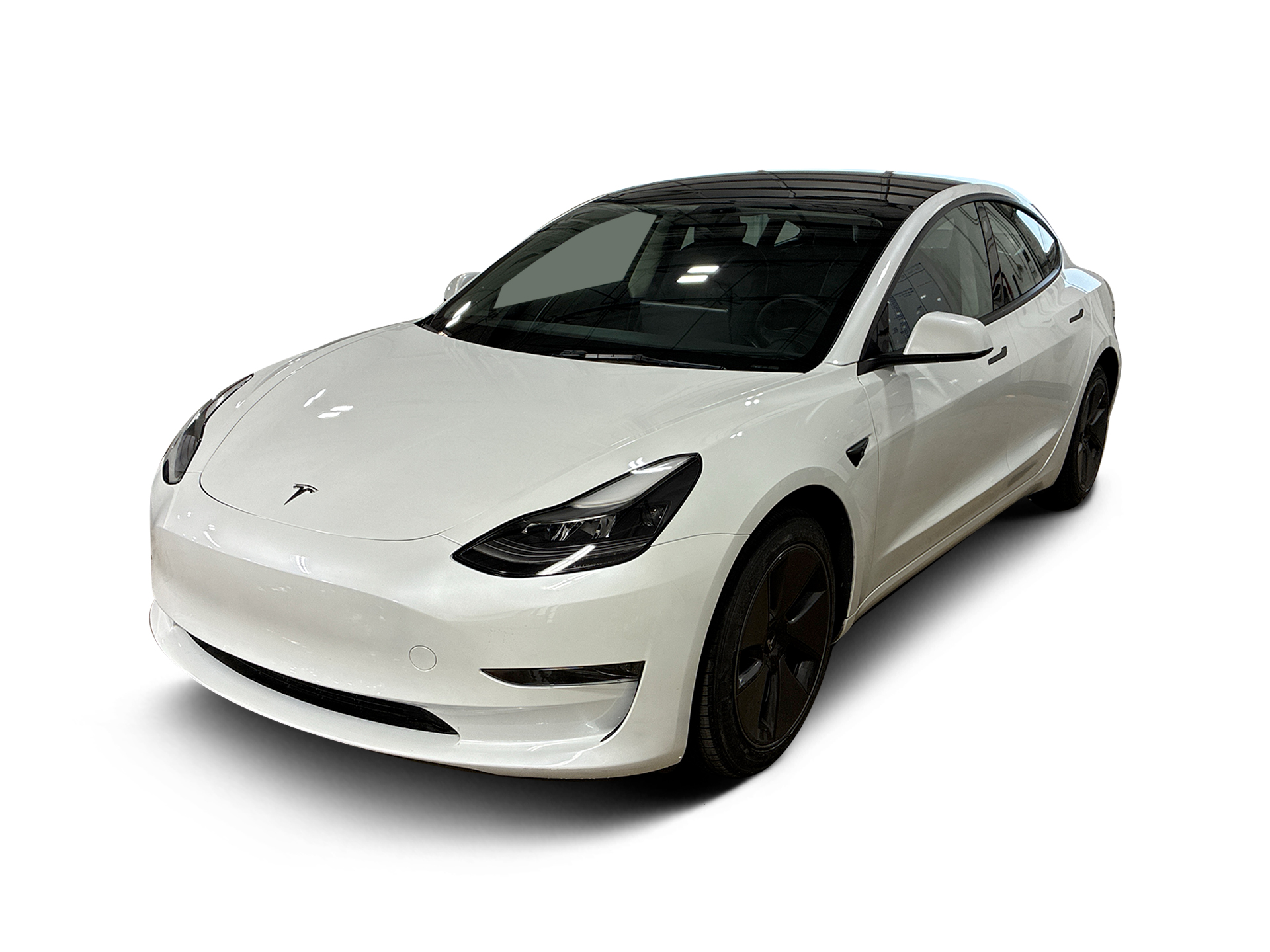 Used 2023 Tesla Model 3 Base with VIN 5YJ3E1EA5PF432942 for sale in Renton, WA