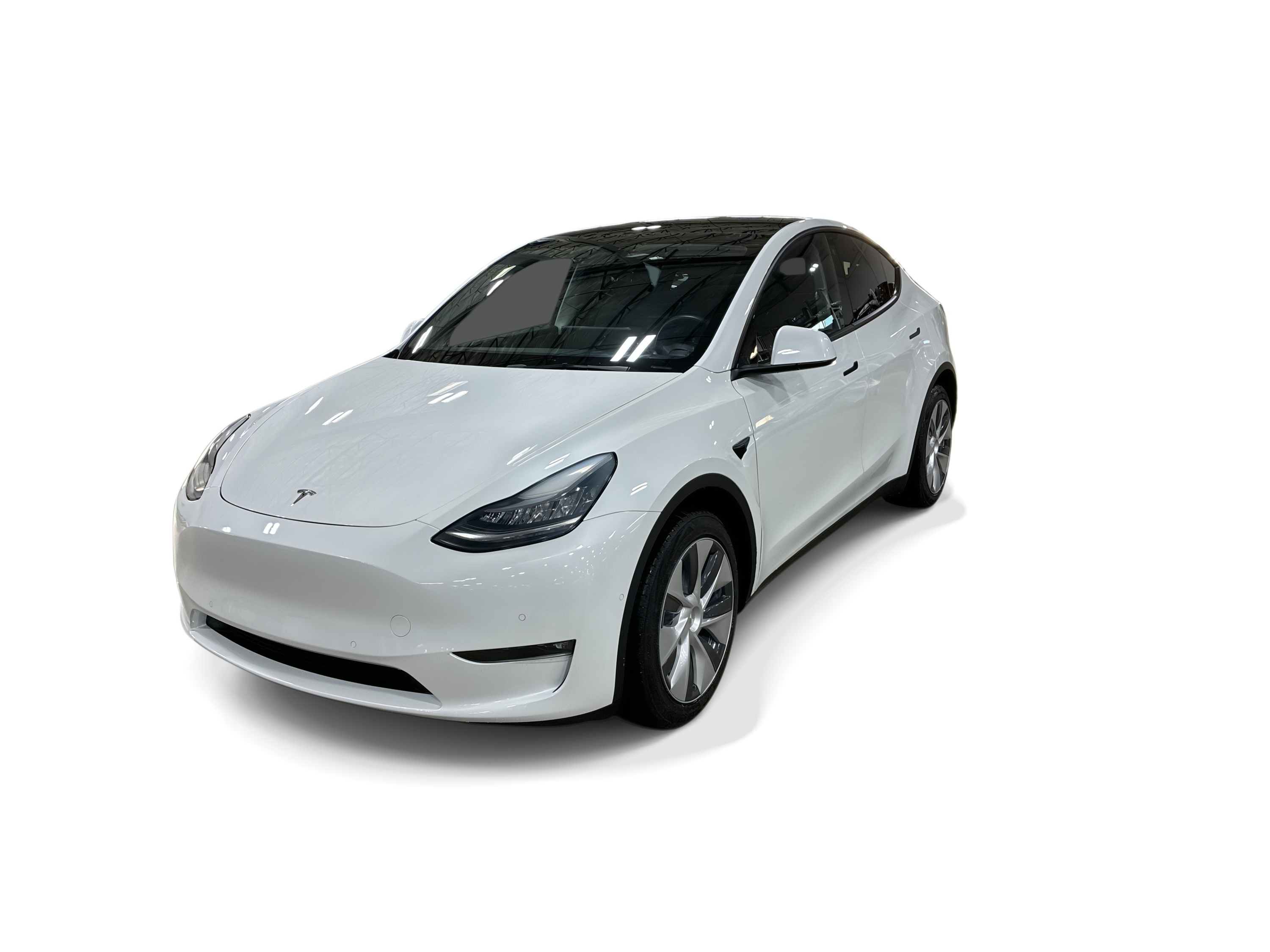 Used 2021 Tesla Model Y Long Range with VIN 5YJYGDEE0MF182462 for sale in Northfield, Minnesota