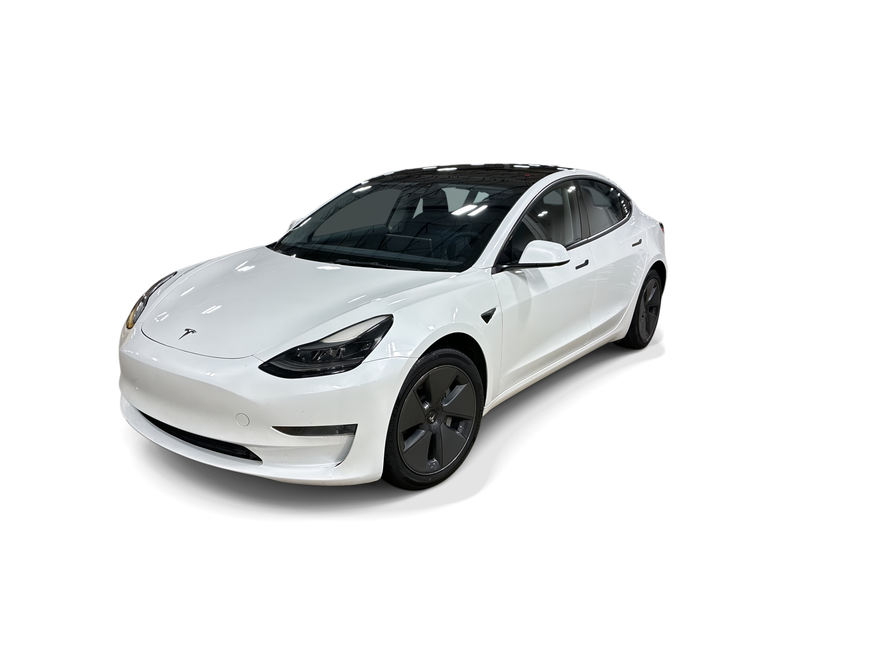 Used 2023 Tesla Model 3 Base with VIN 5YJ3E1EA1PF403342 for sale in Renton, WA
