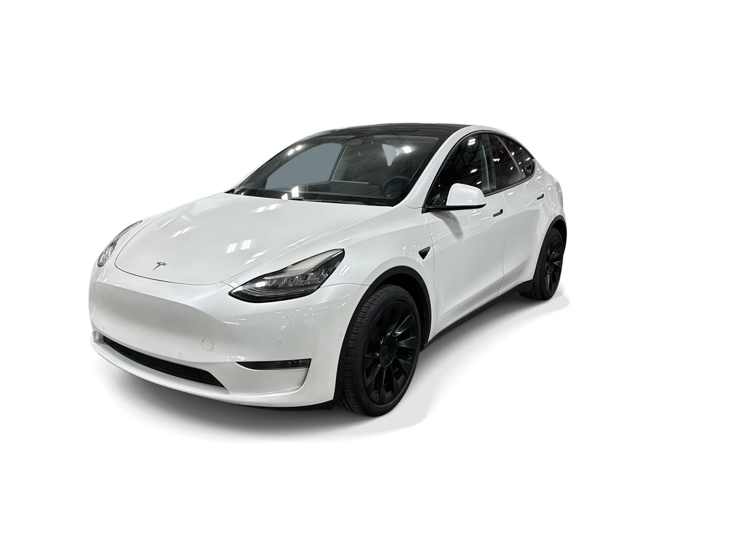 Used 2021 Tesla Model Y Long Range with VIN 5YJYGDEE8MF075238 for sale in Northfield, Minnesota