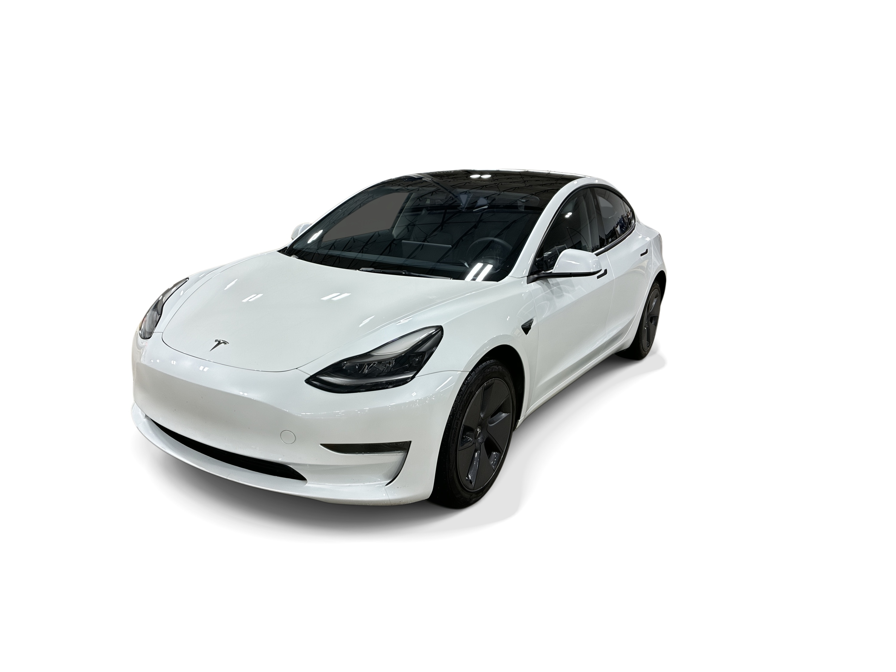 Used 2023 Tesla Model 3 Base with VIN 5YJ3E1EA2PF481922 for sale in Renton, WA