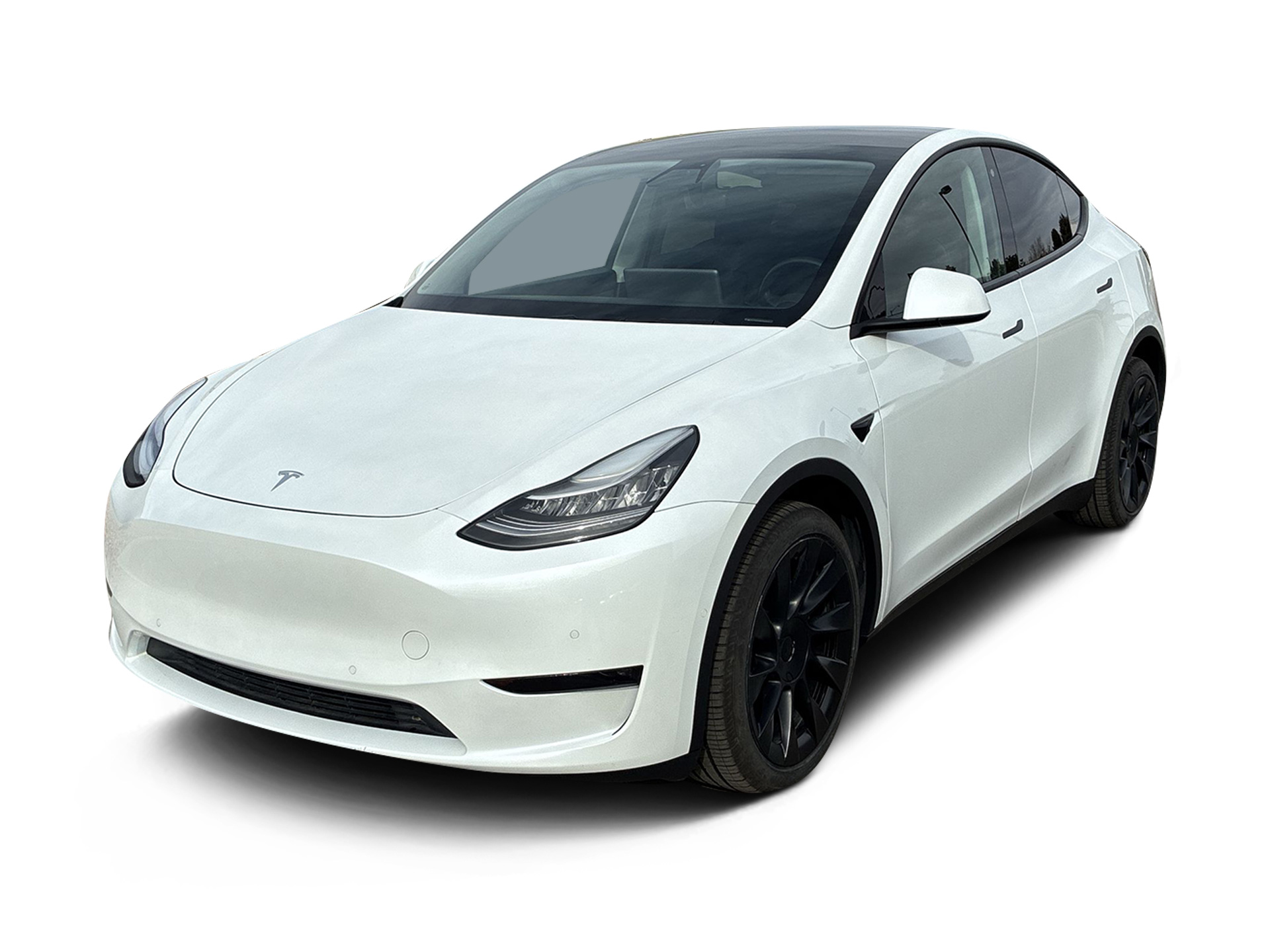 Used 2020 Tesla Model Y Long Range with VIN 5YJYGDEE8LF042092 for sale in Northfield, Minnesota