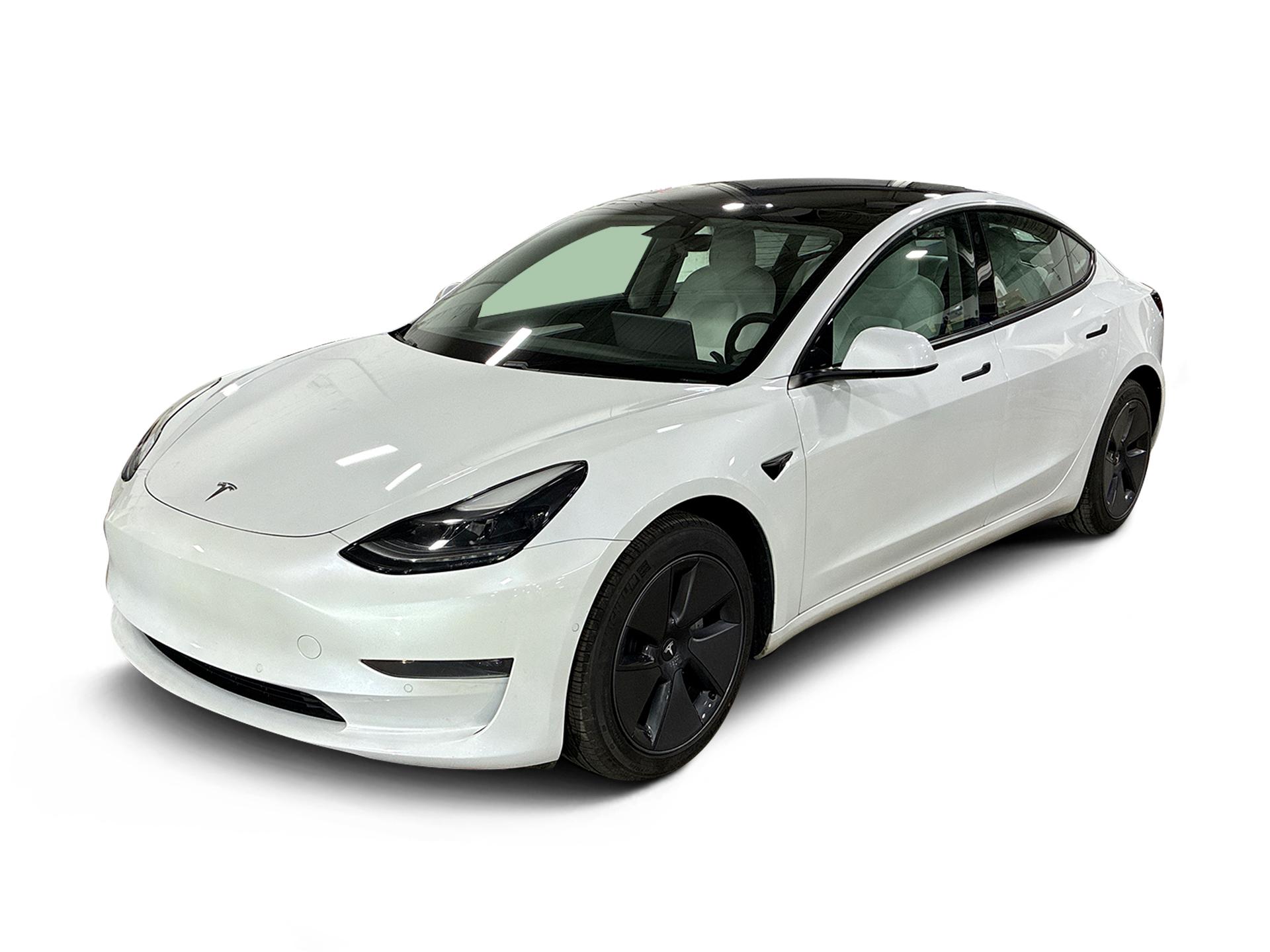 Used 2021 Tesla Model 3 Base with VIN 5YJ3E1EA5MF059249 for sale in Renton, WA